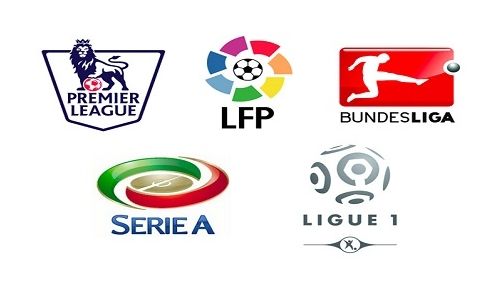 仅揭示了快 仅揭示了快